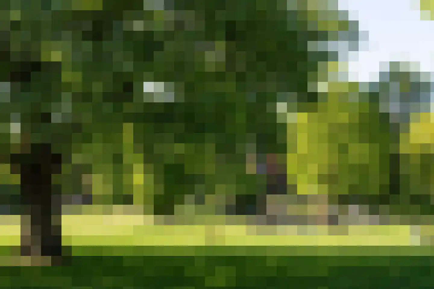 Aastraat 1 's-Hertogenbosch thumbnail 43