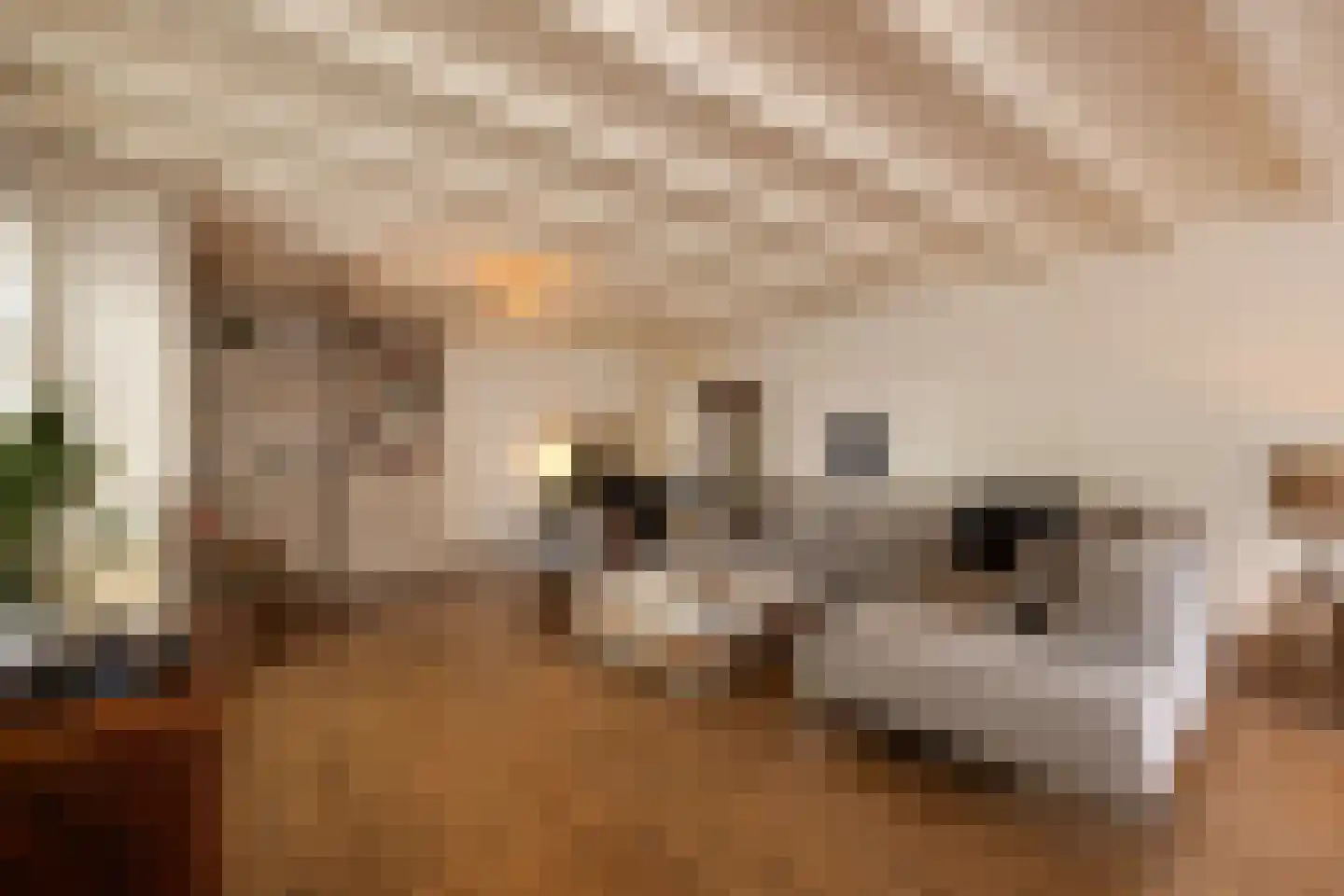 Aastraat 1 's-Hertogenbosch thumbnail 5