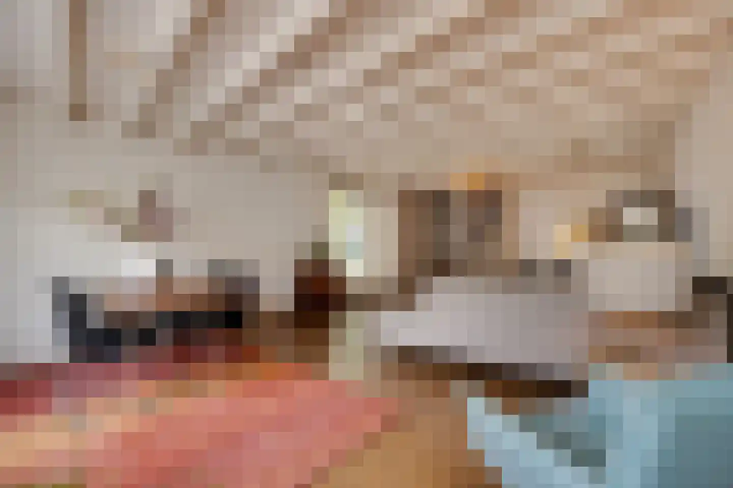 Aastraat 1 's-Hertogenbosch thumbnail 8
