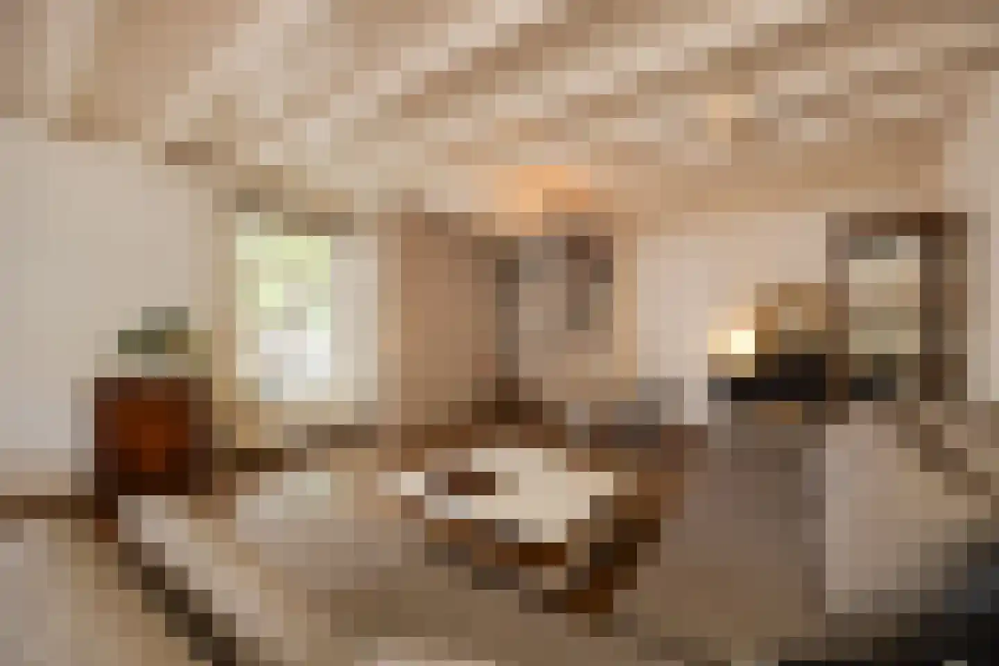 Aastraat 1 's-Hertogenbosch thumbnail 9