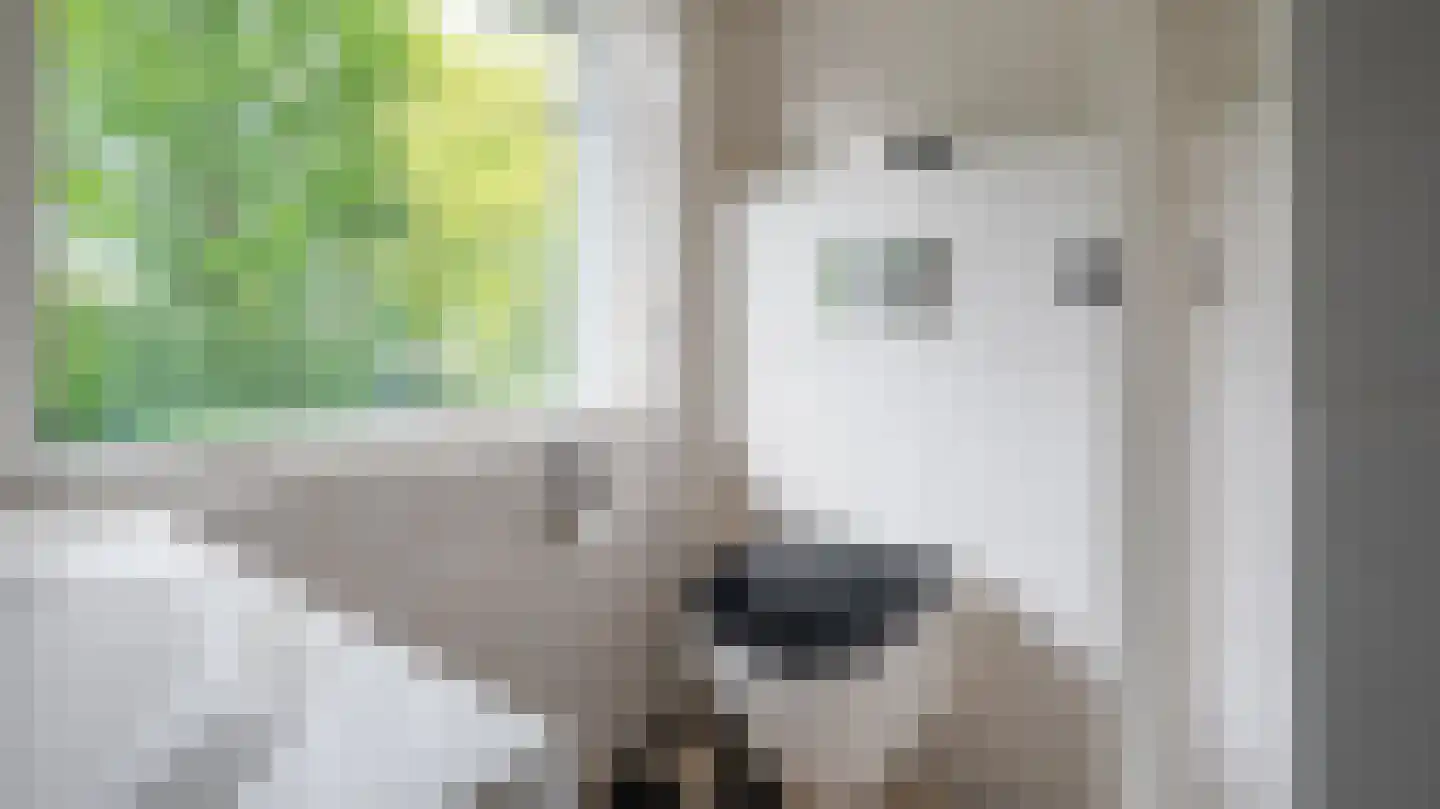 Aastraat 14 Almelo thumbnail 22