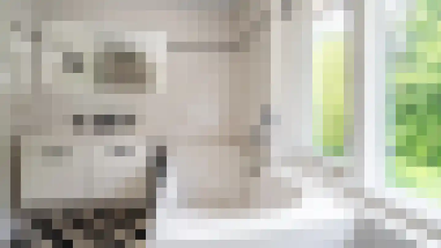Aastraat 14 Almelo thumbnail 23