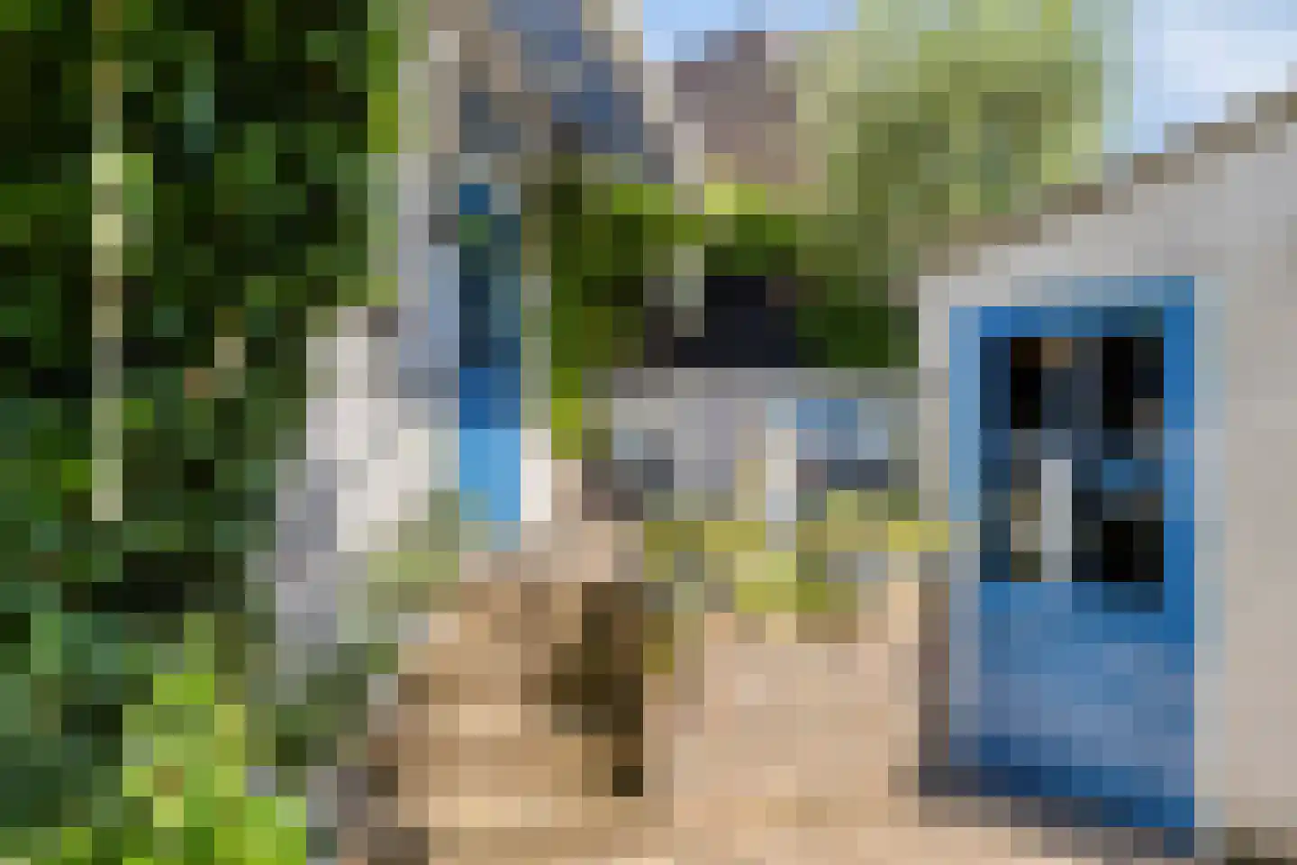 Aastraat 2 's-Hertogenbosch thumbnail 26