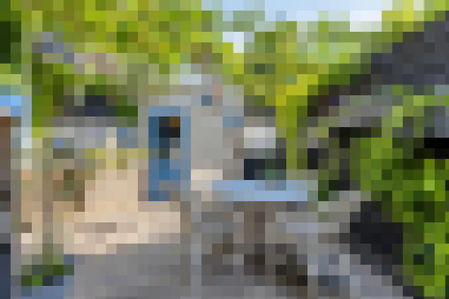 Aastraat 2 's-Hertogenbosch thumbnail 30