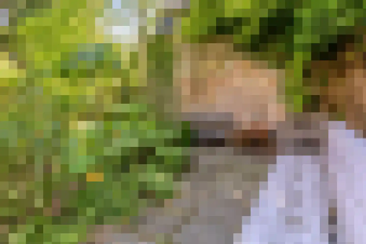 Aastraat 2 's-Hertogenbosch thumbnail 34