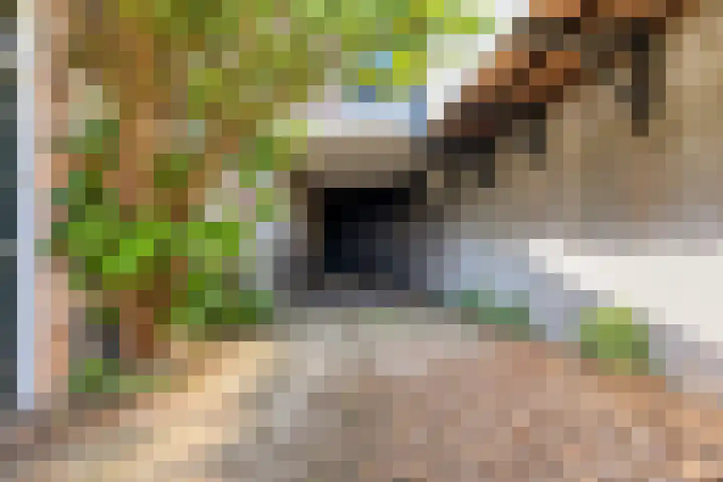 Aastraat 2 's-Hertogenbosch thumbnail 35