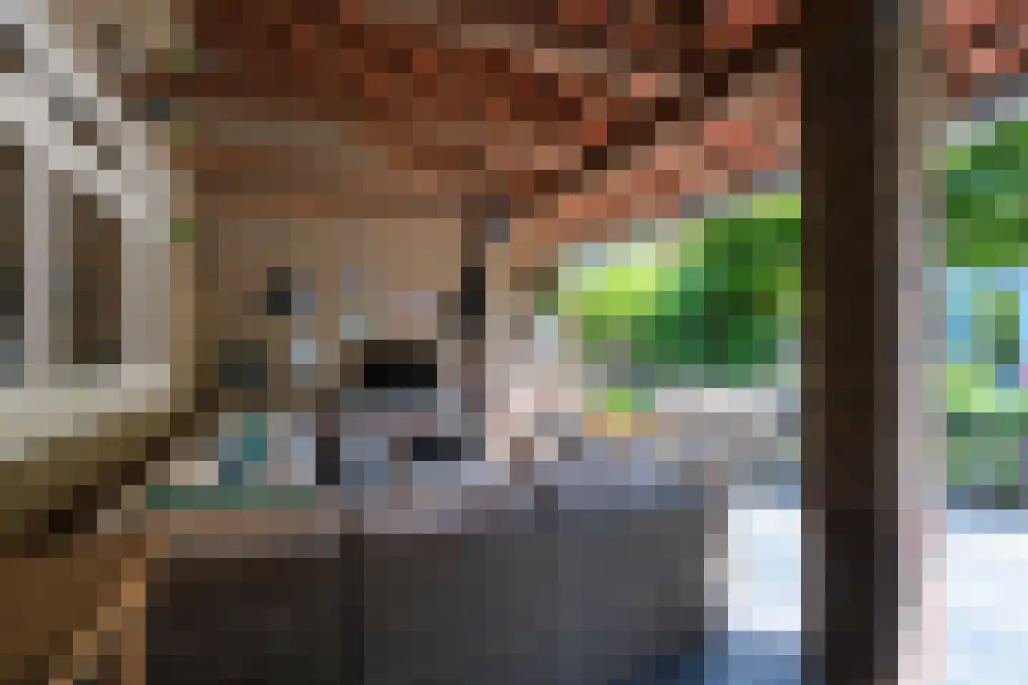 Aastraat 6 Almelo thumbnail 13