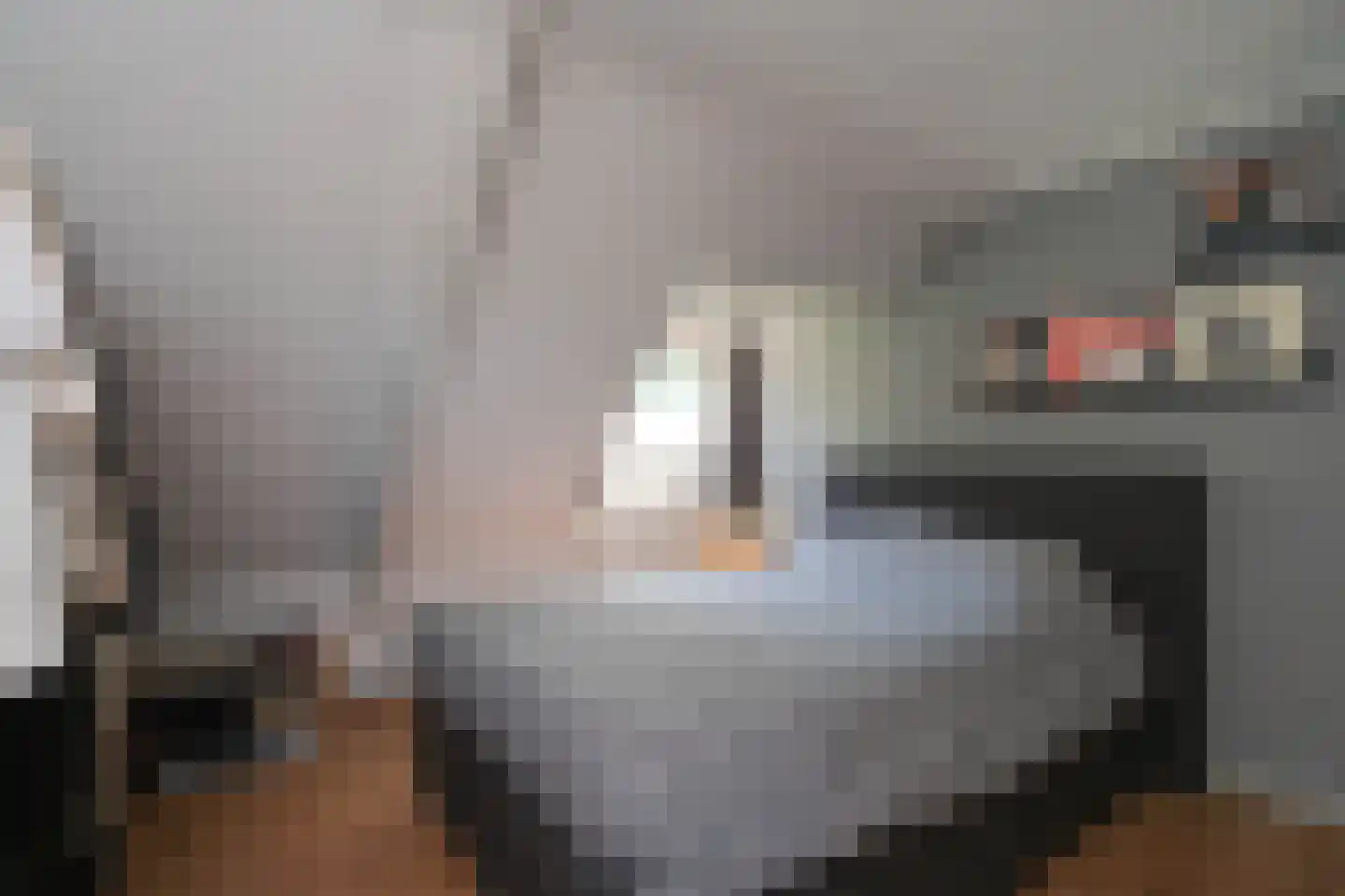 Aastraat 6 Almelo thumbnail 22