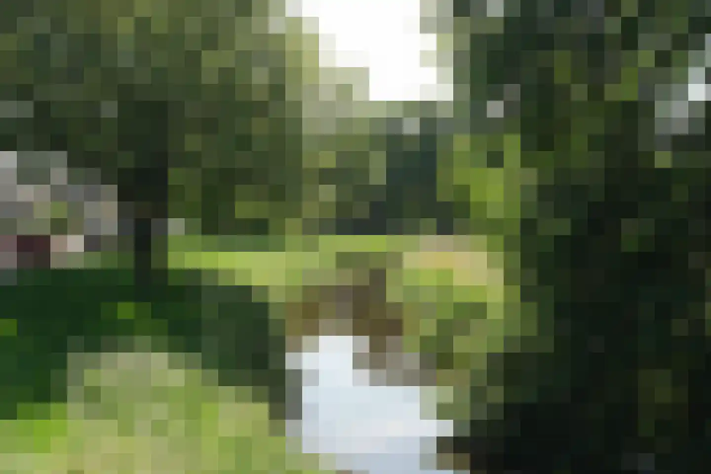 Aastraat 6 Almelo thumbnail 32