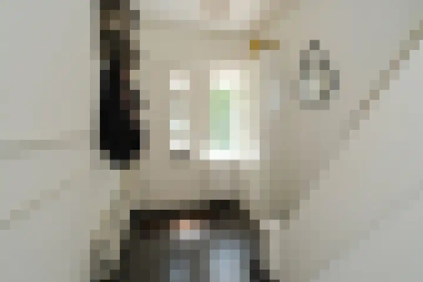 Aastraat 6 Almelo thumbnail 5