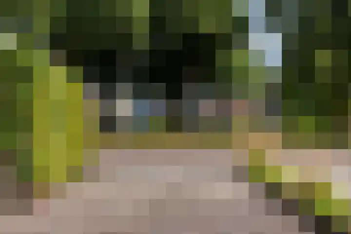 Ab Jansenstraat 3 Holten thumbnail 30