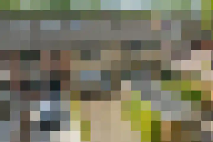Ab Jansenstraat 3 Holten thumbnail 31