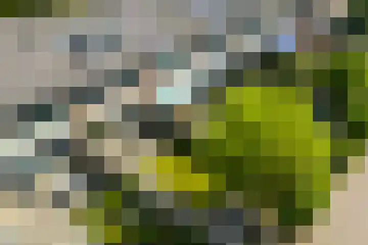 Ab Jansenstraat 3 Holten thumbnail 32