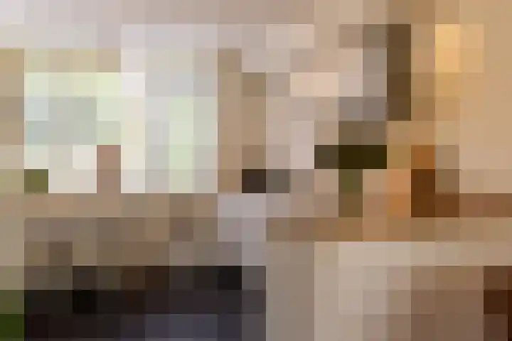 Ab Jansenstraat 3 Holten thumbnail 7