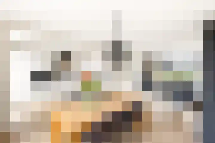 Abbé de St. Pierre-laan 15 Middelburg thumbnail 17