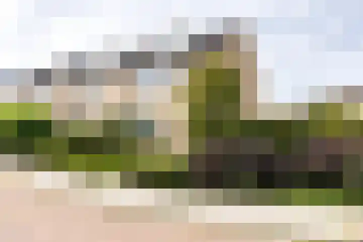 Abbé de St. Pierre-laan 15 Middelburg thumbnail 9