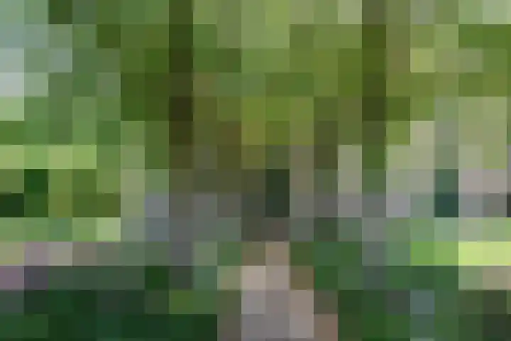 Abbekesdoel 37 Bleskensgraaf ca foto 2