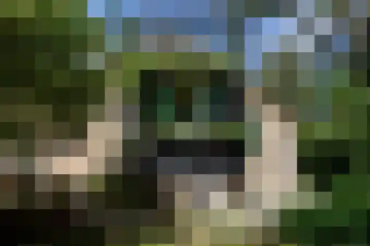 Abbekesdoel 37 Bleskensgraaf ca thumbnail 25