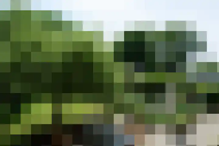 Abbekesdoel 37 Bleskensgraaf ca thumbnail 26