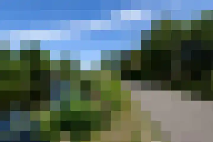 Abbekesdoel 37 Bleskensgraaf ca thumbnail 28