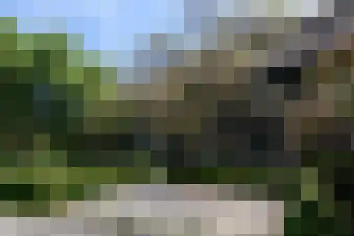 Abbekesdoel 37 Bleskensgraaf ca foto 3