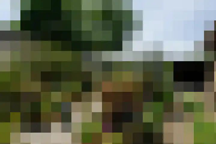 Abbekesdoel 37 Bleskensgraaf ca thumbnail 37