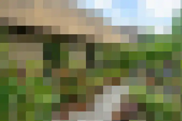 Abbekesdoel 37 Bleskensgraaf ca thumbnail 38