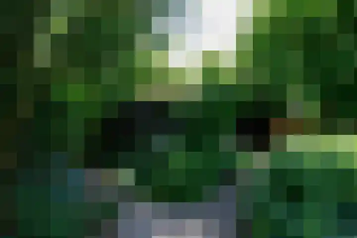 Abbekesdoel 37 Bleskensgraaf ca thumbnail 39