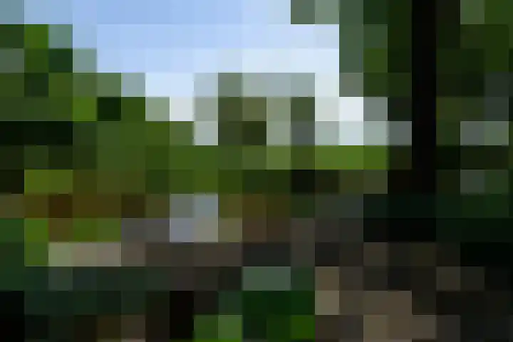 Abbekesdoel 37 Bleskensgraaf ca thumbnail 4
