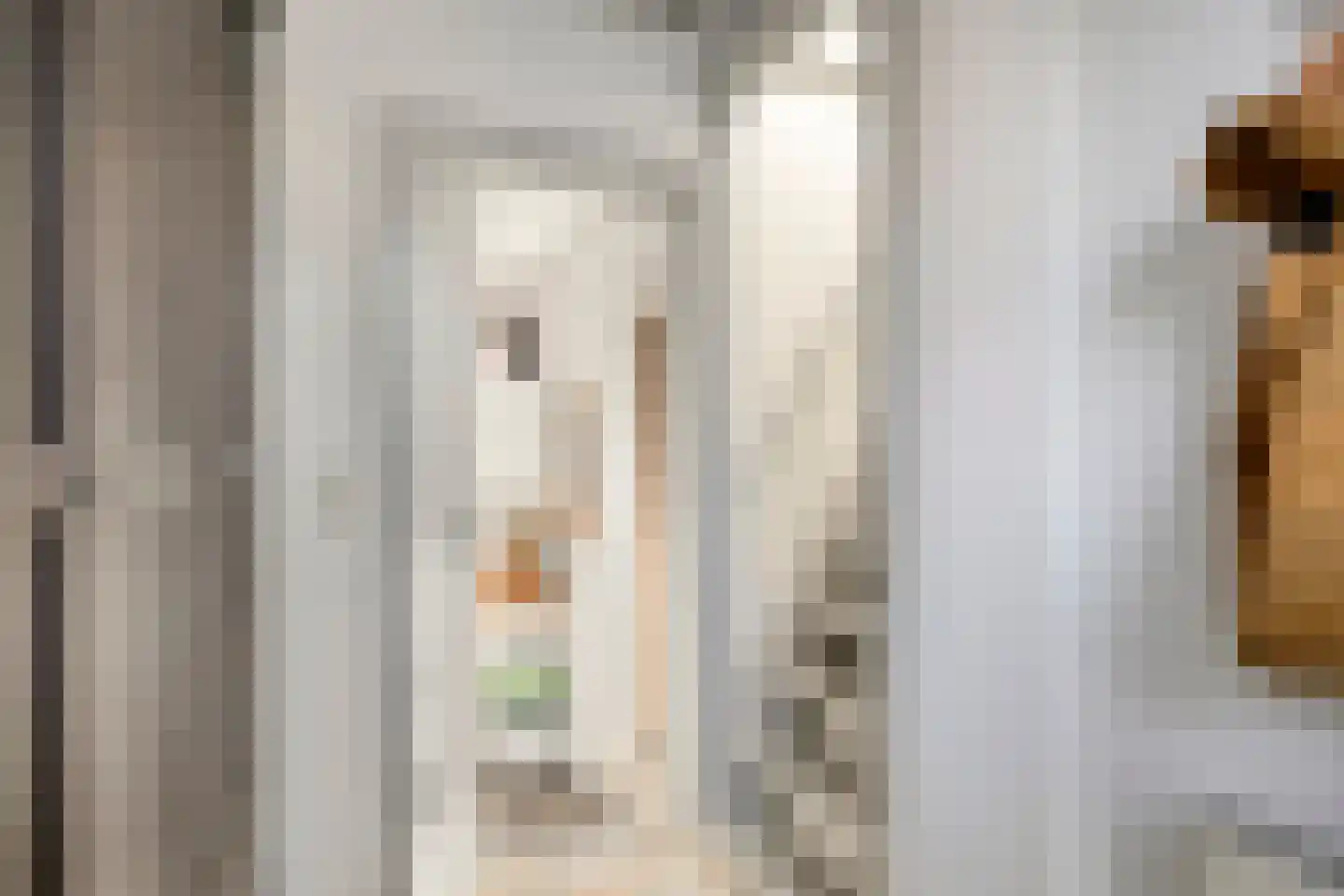 Abbekesdoel 51 Bleskensgraaf ca thumbnail 17