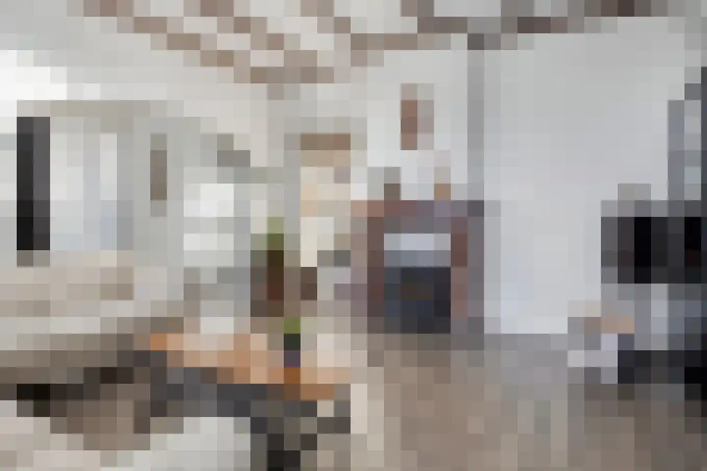 Abbekesdoel 51 Bleskensgraaf ca thumbnail 4