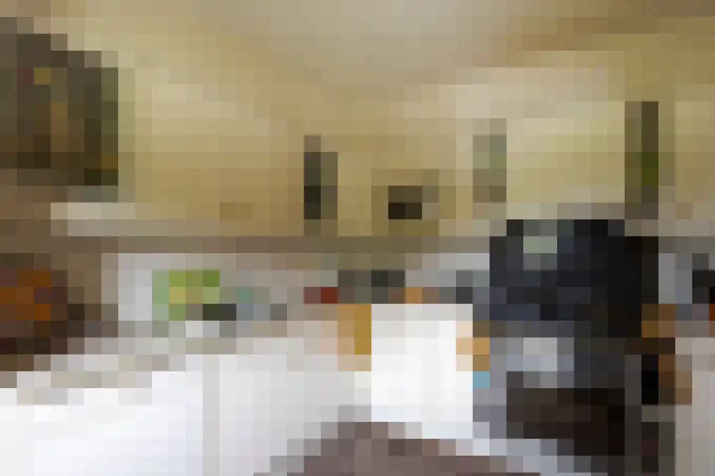 Abbekesdoel 53 Bleskensgraaf ca thumbnail 14