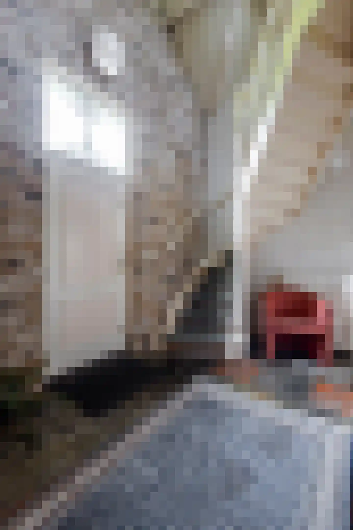 Abbekesdoel 53 Bleskensgraaf ca thumbnail 25