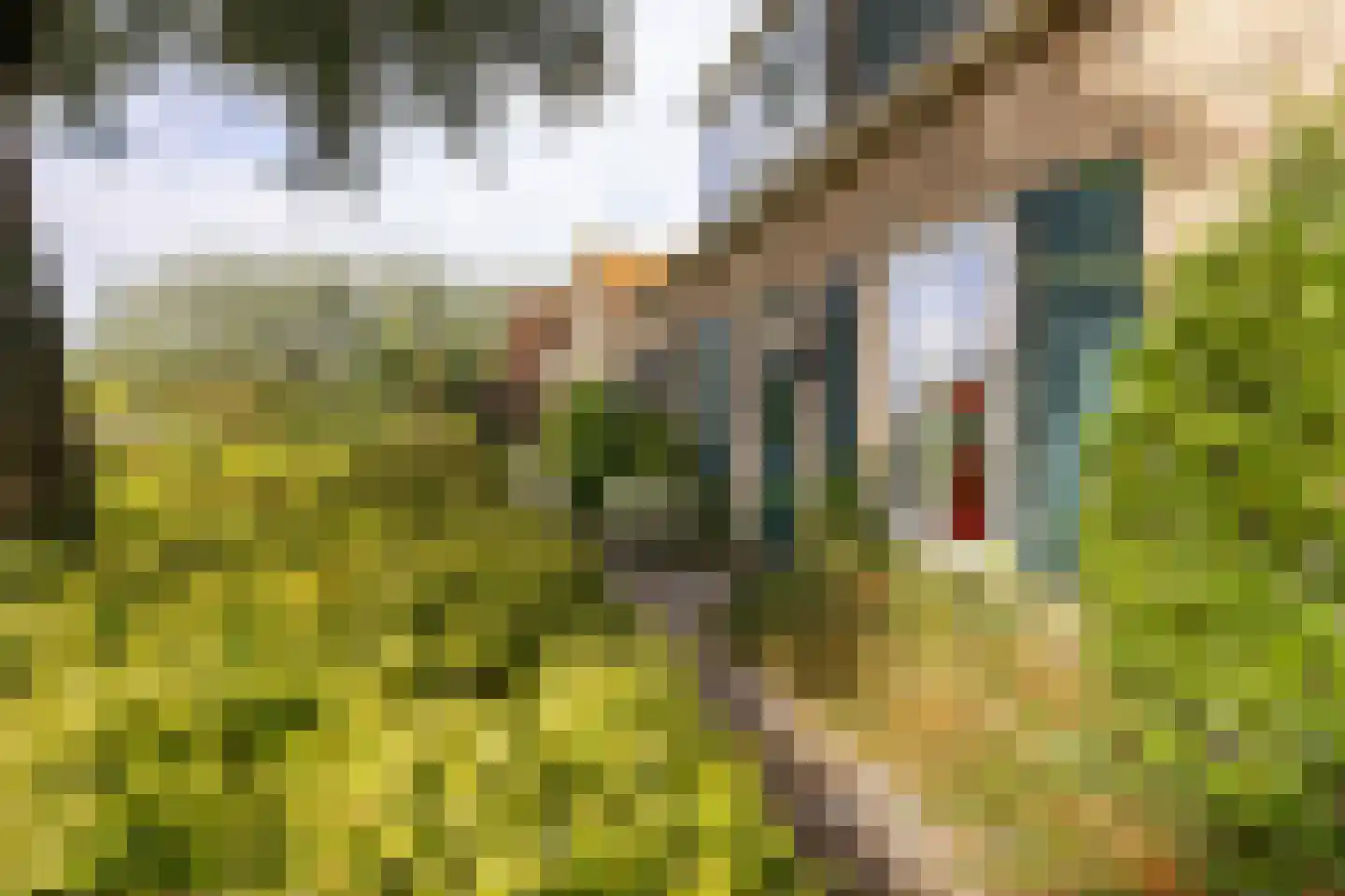 Abbekesdoel 53 Bleskensgraaf ca thumbnail 36
