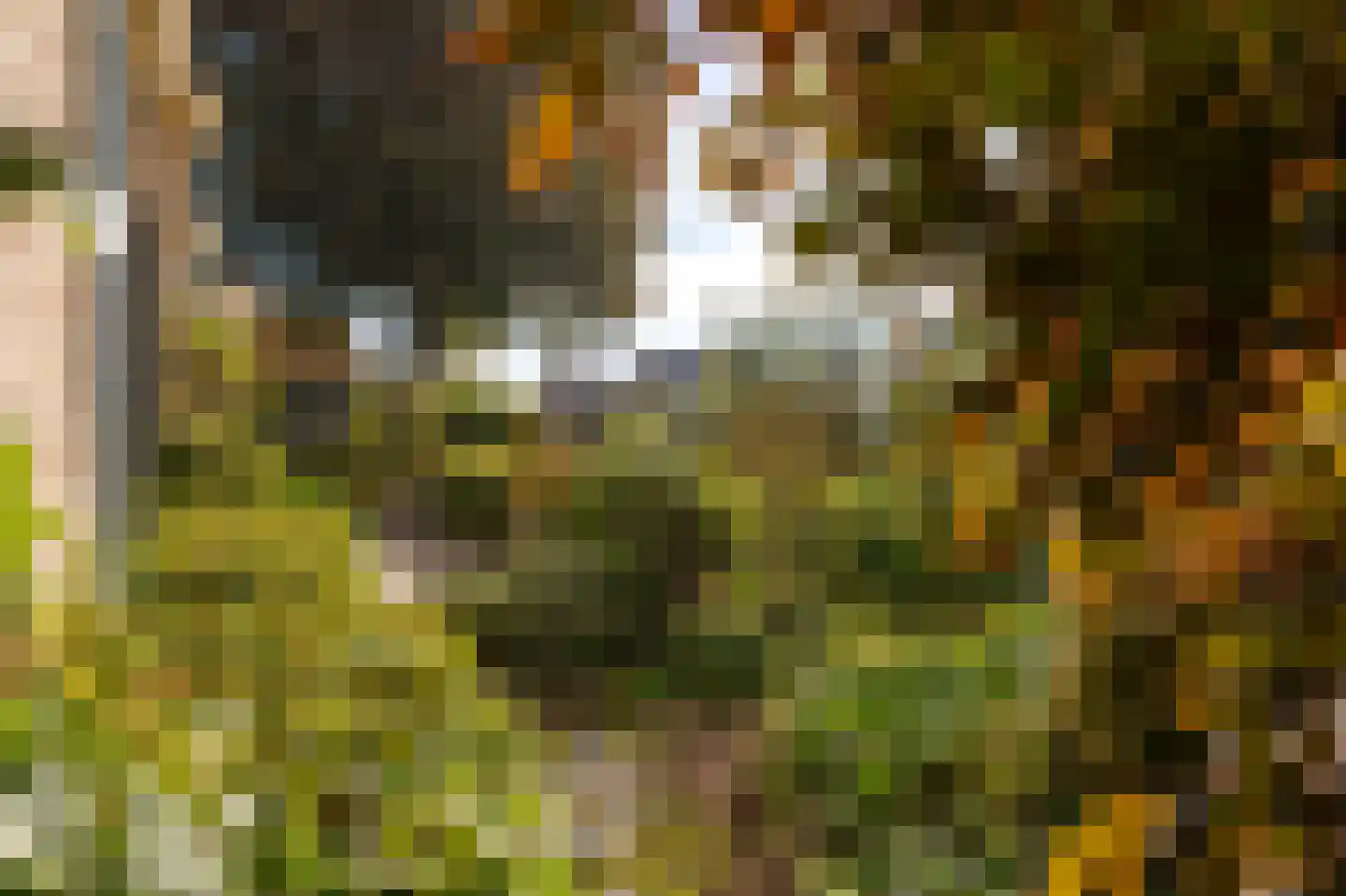 Abbekesdoel 53 Bleskensgraaf ca thumbnail 38