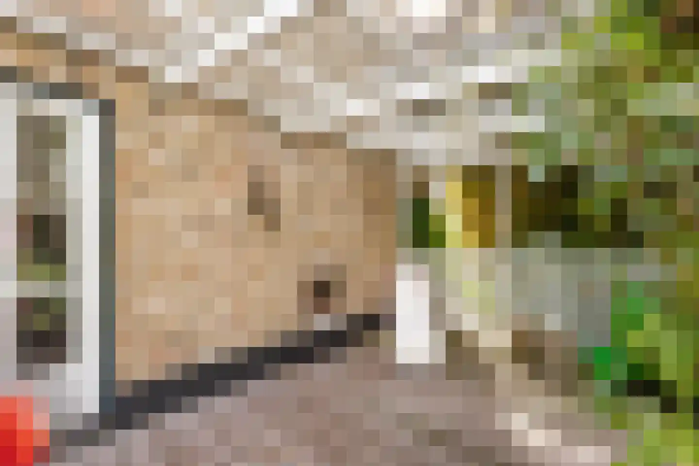 Abbekesdoel 53 Bleskensgraaf ca thumbnail 39