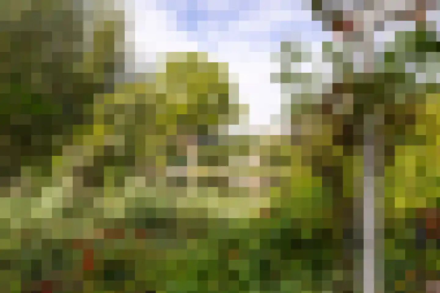 Abbekesdoel 53 Bleskensgraaf ca thumbnail 40