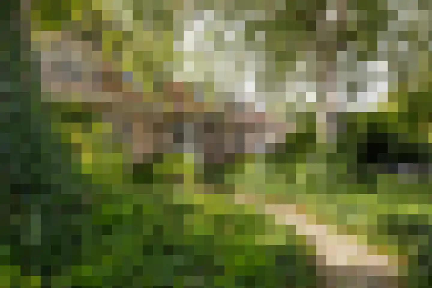 Abbekesdoel 53 Bleskensgraaf ca thumbnail 44