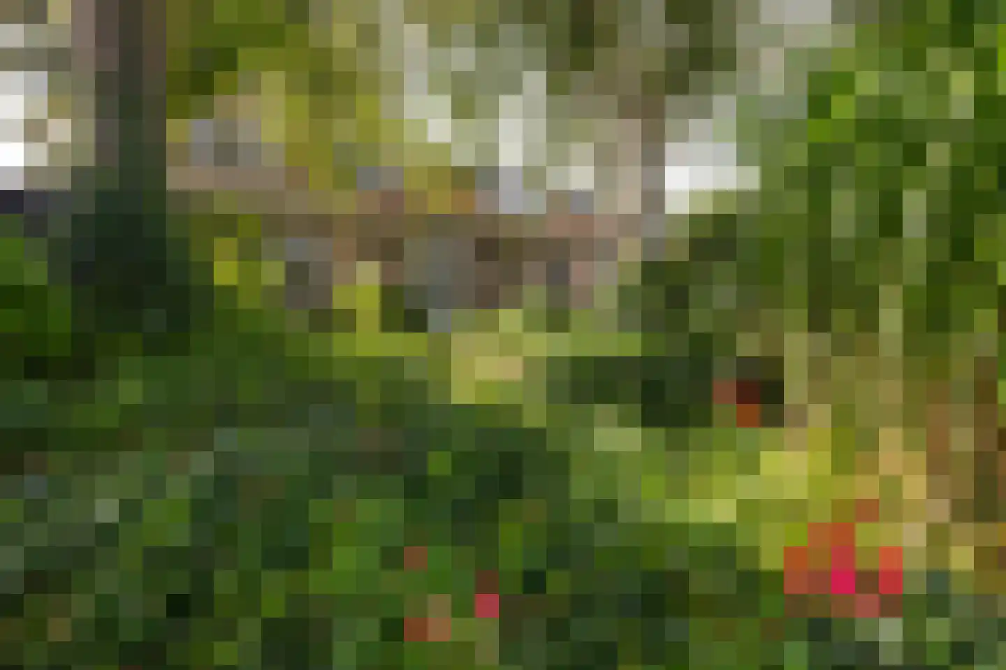 Abbekesdoel 53 Bleskensgraaf ca thumbnail 45