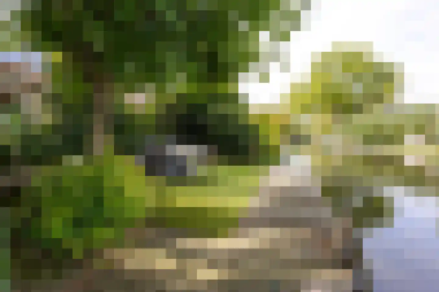 Abbekesdoel 53 Bleskensgraaf ca thumbnail 46
