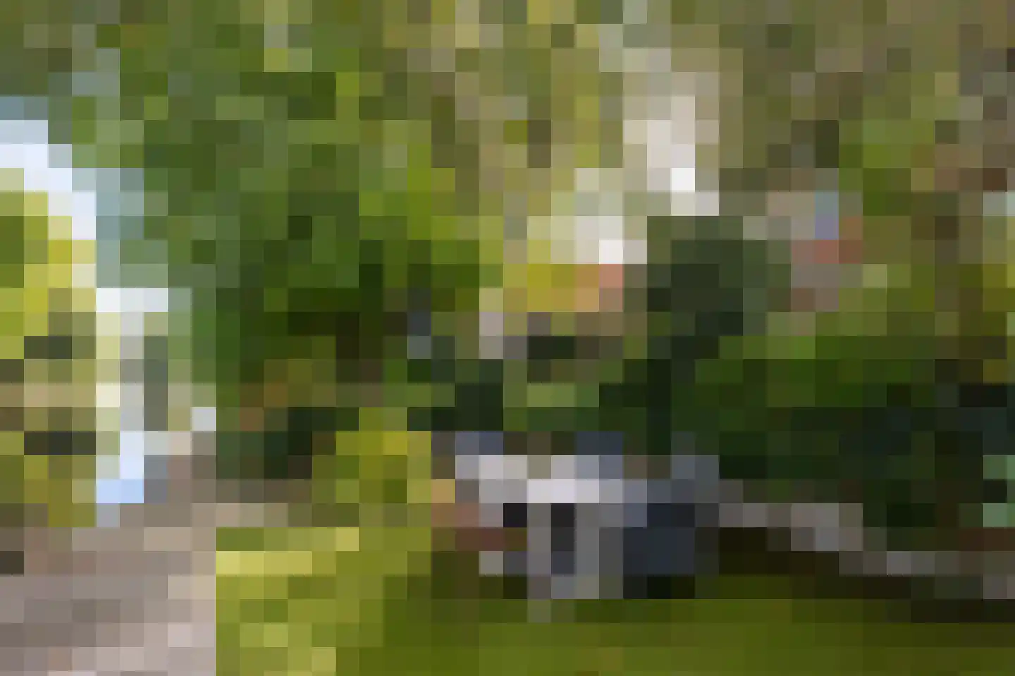 Abbekesdoel 53 Bleskensgraaf ca thumbnail 47