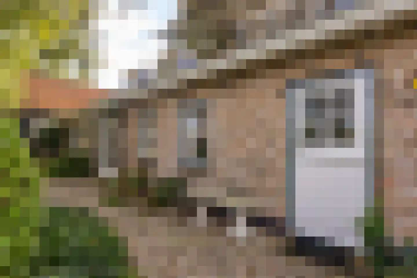 Abbekesdoel 53 Bleskensgraaf ca thumbnail 5