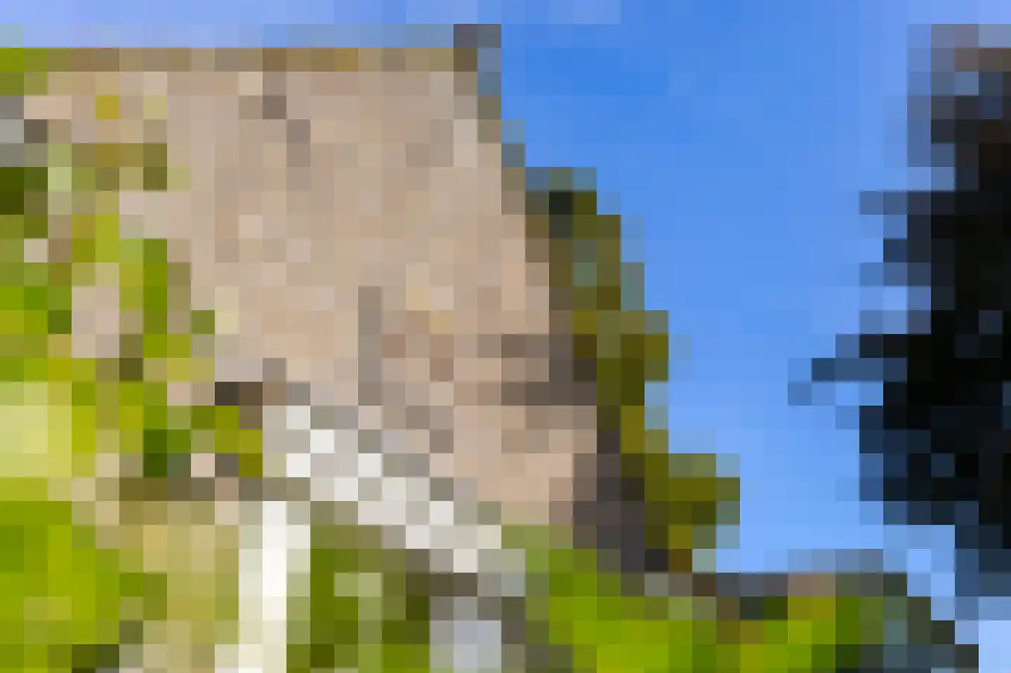 Abbekesdoel 53 Bleskensgraaf ca thumbnail 53
