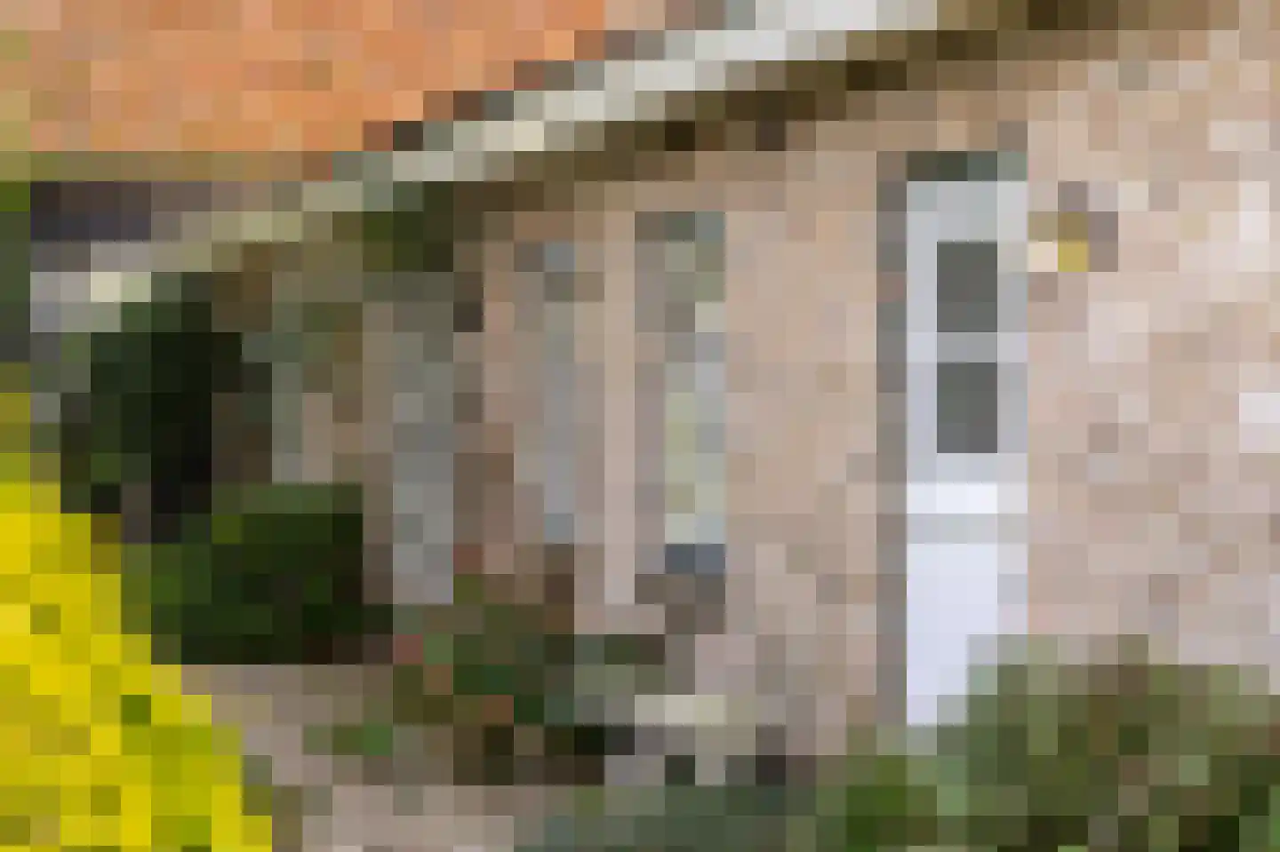 Abbekesdoel 53 Bleskensgraaf ca thumbnail 55