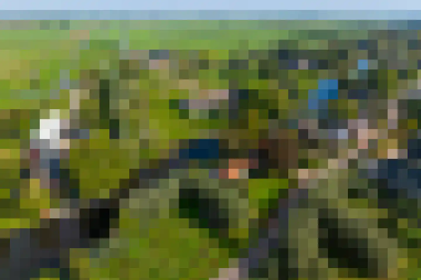 Abbekesdoel 53 Bleskensgraaf ca thumbnail 59