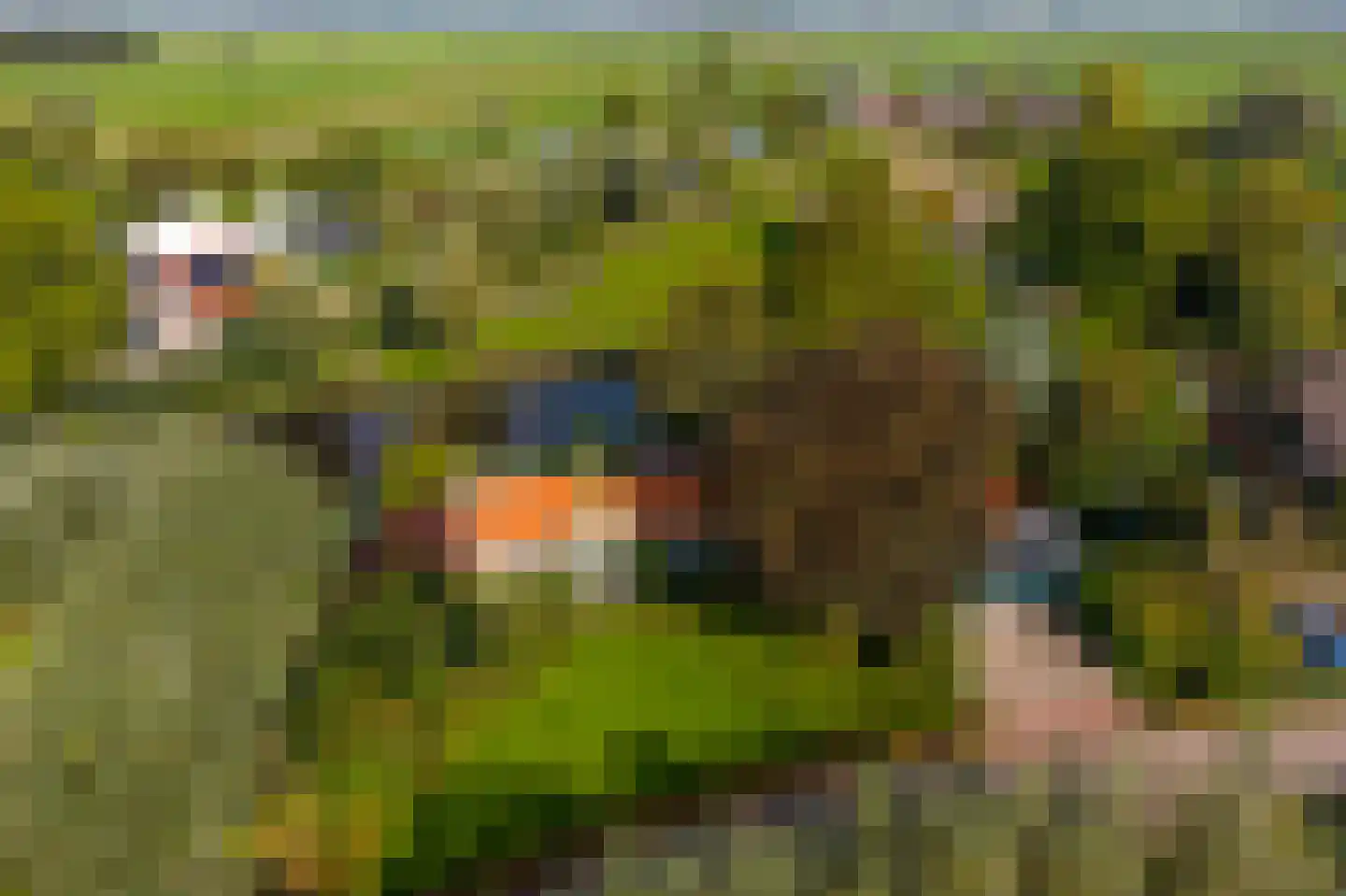 Abbekesdoel 53 Bleskensgraaf ca thumbnail 61