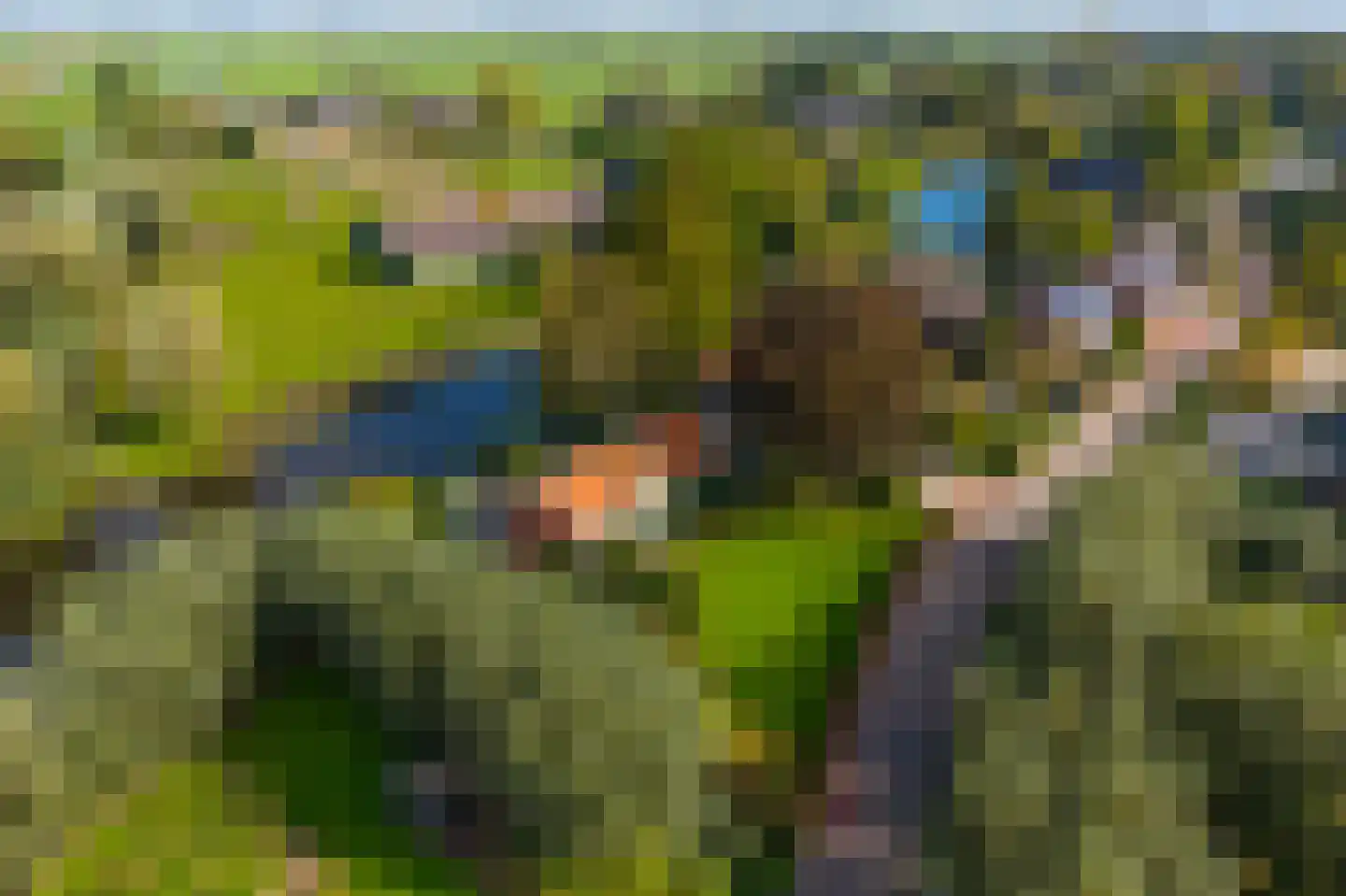 Abbekesdoel 53 Bleskensgraaf ca thumbnail 62
