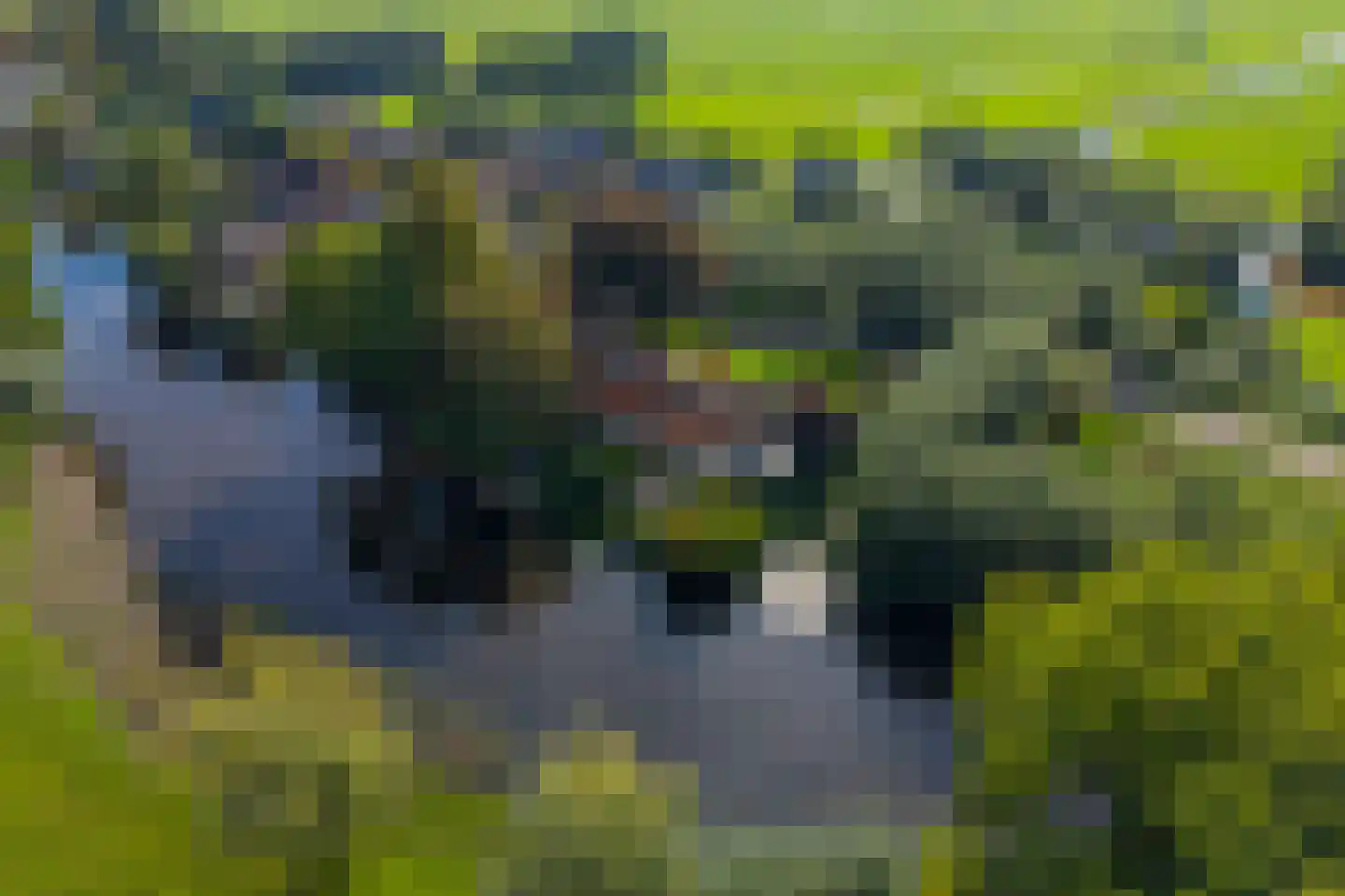 Abbekesdoel 53 Bleskensgraaf ca thumbnail 63