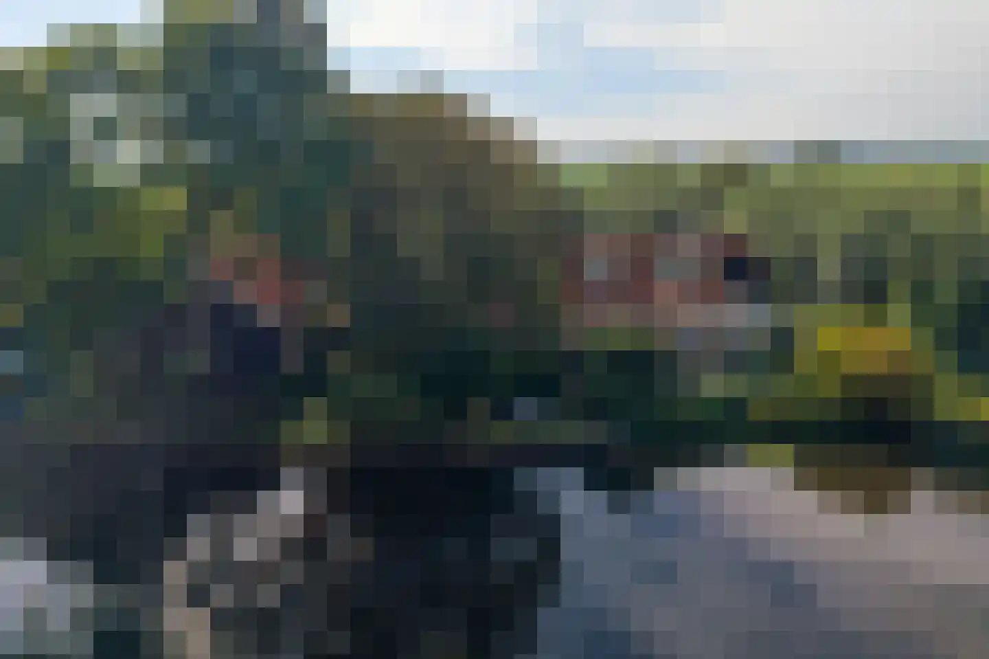 Abbekesdoel 53 Bleskensgraaf ca thumbnail 64