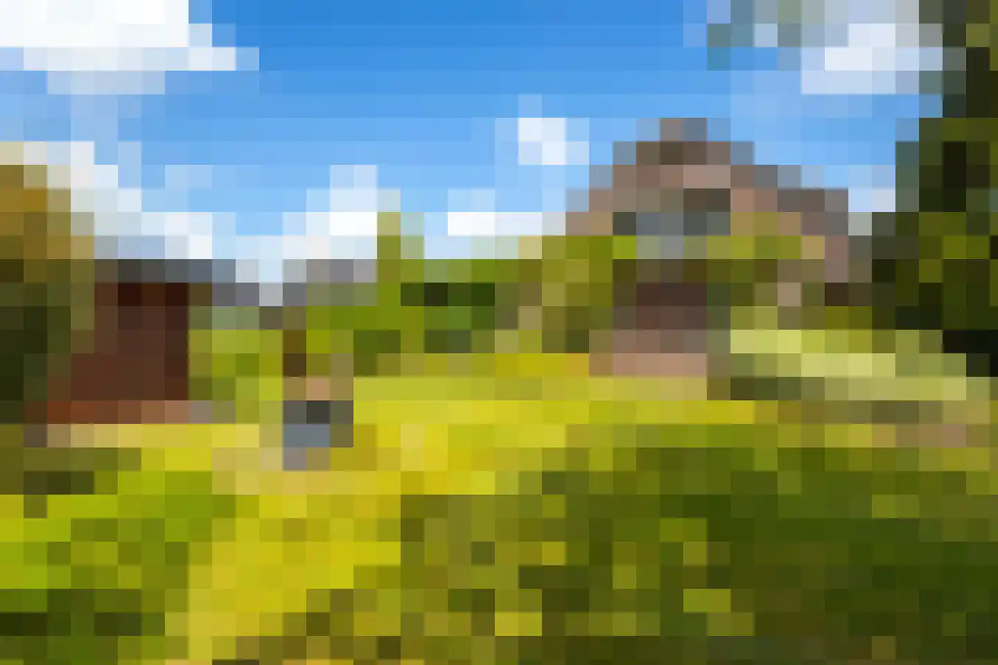 Abbekesdoel 77 Bleskensgraaf ca thumbnail 16